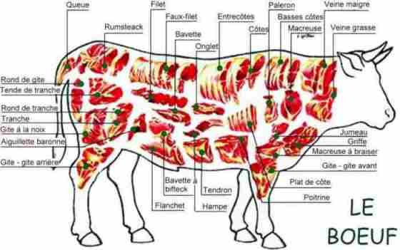 un-peu-d-anatomie-sur-notre-blog